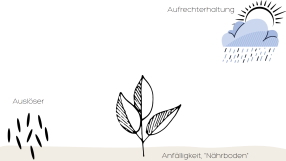 Vorschau des Erklärungsmodells